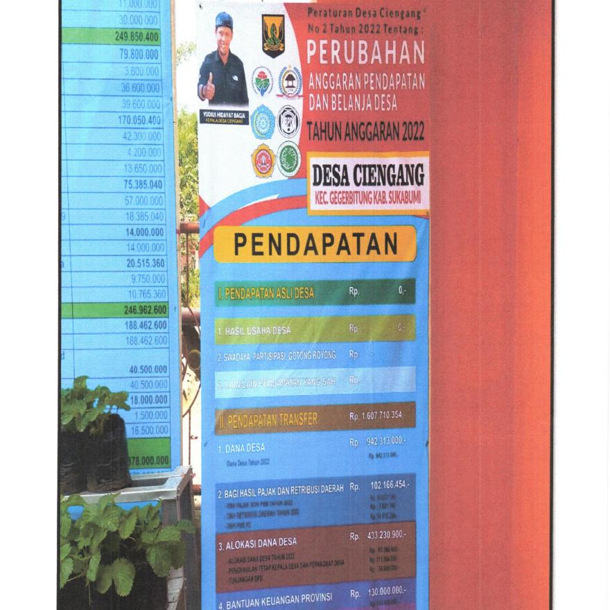 Publikasi APBDES